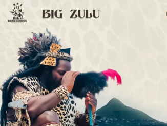 Big Zulu - Ayina Cala Ingane Feat. Makhadzi